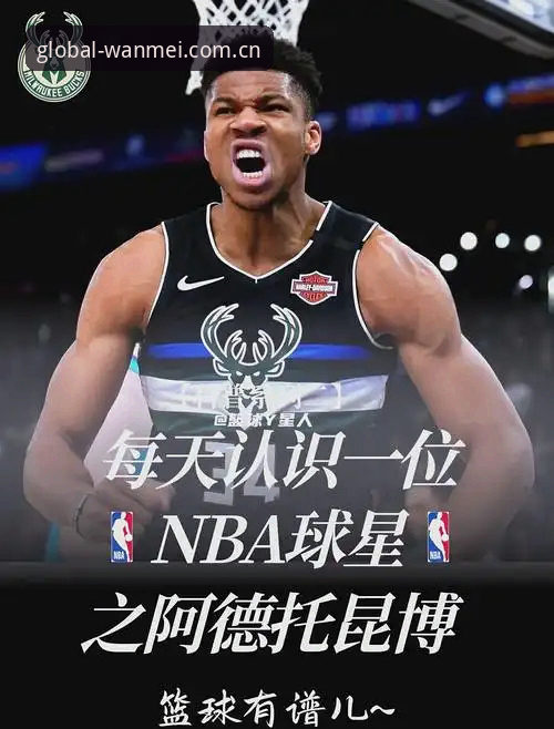 字母哥交易夜前夜，看懂这波操作的实用指南